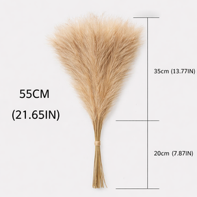 Pampas Decor Tak