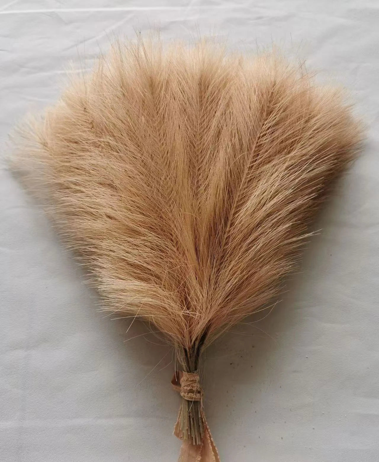 Pampas Decor Tak