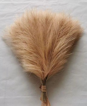 Pampas Decor Tak