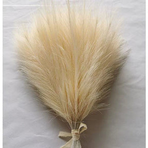 Pampas Decor Tak