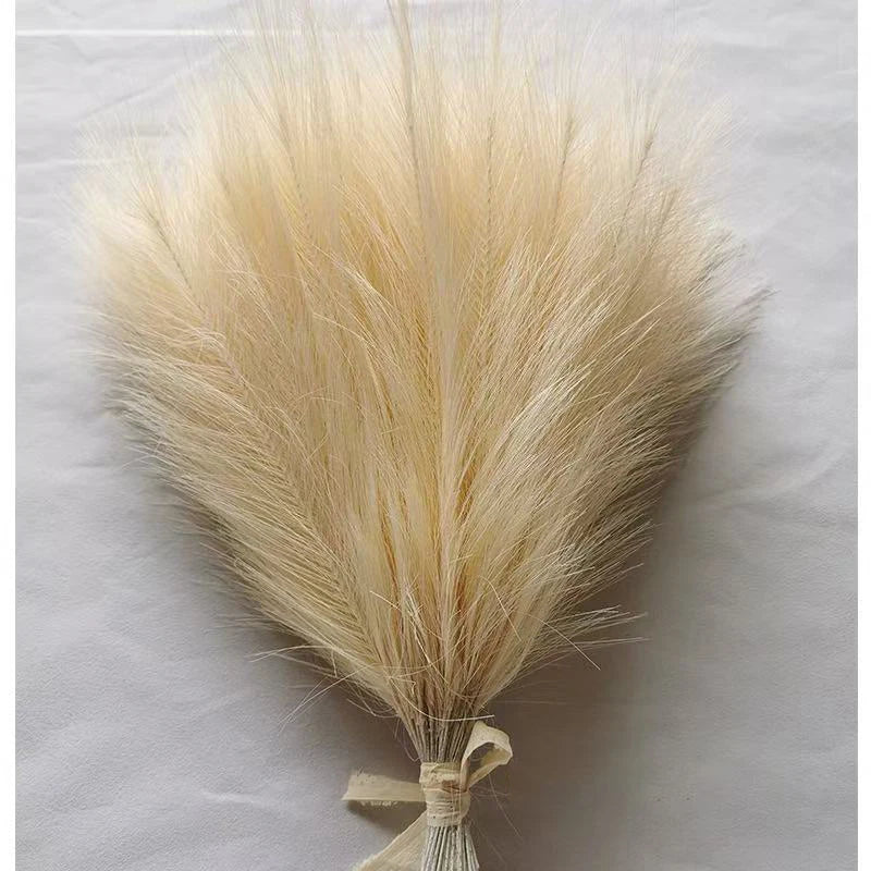 Pampas Decor Tak