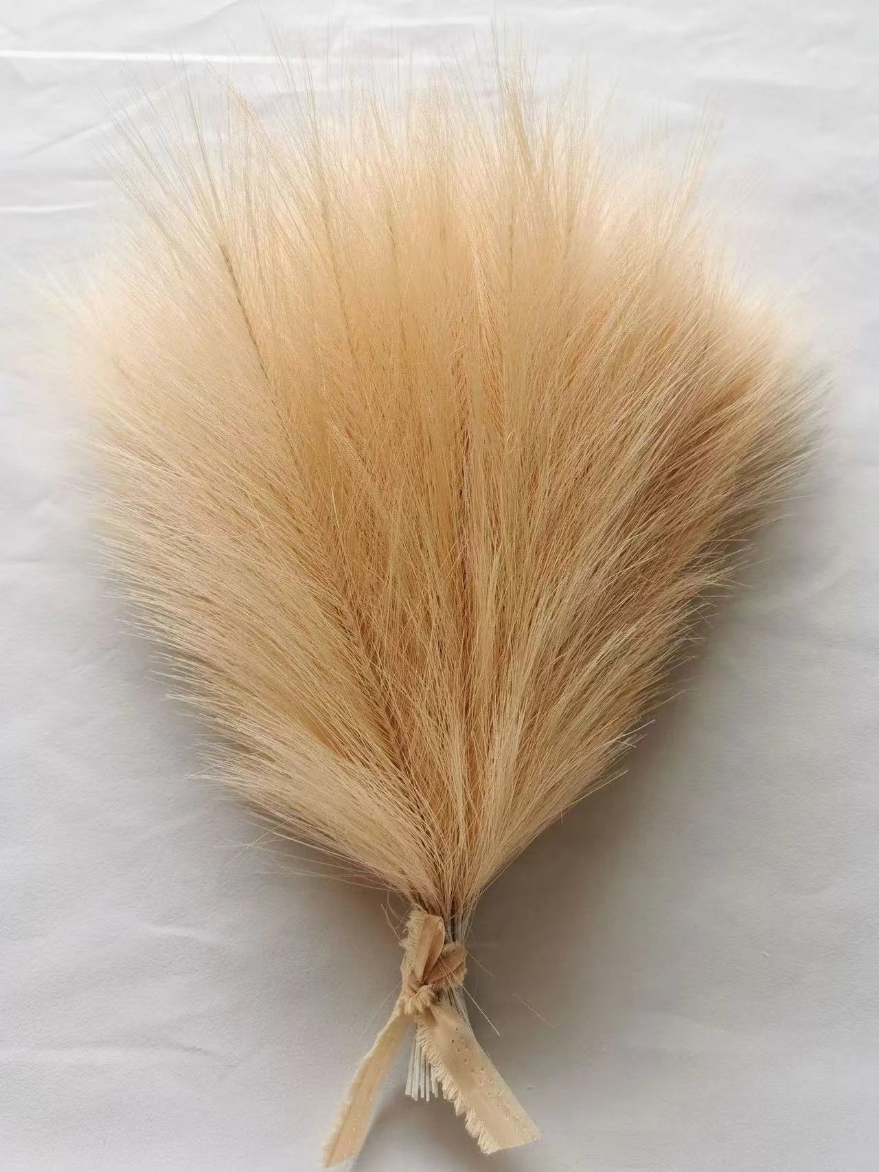 Pampas Decor Tak