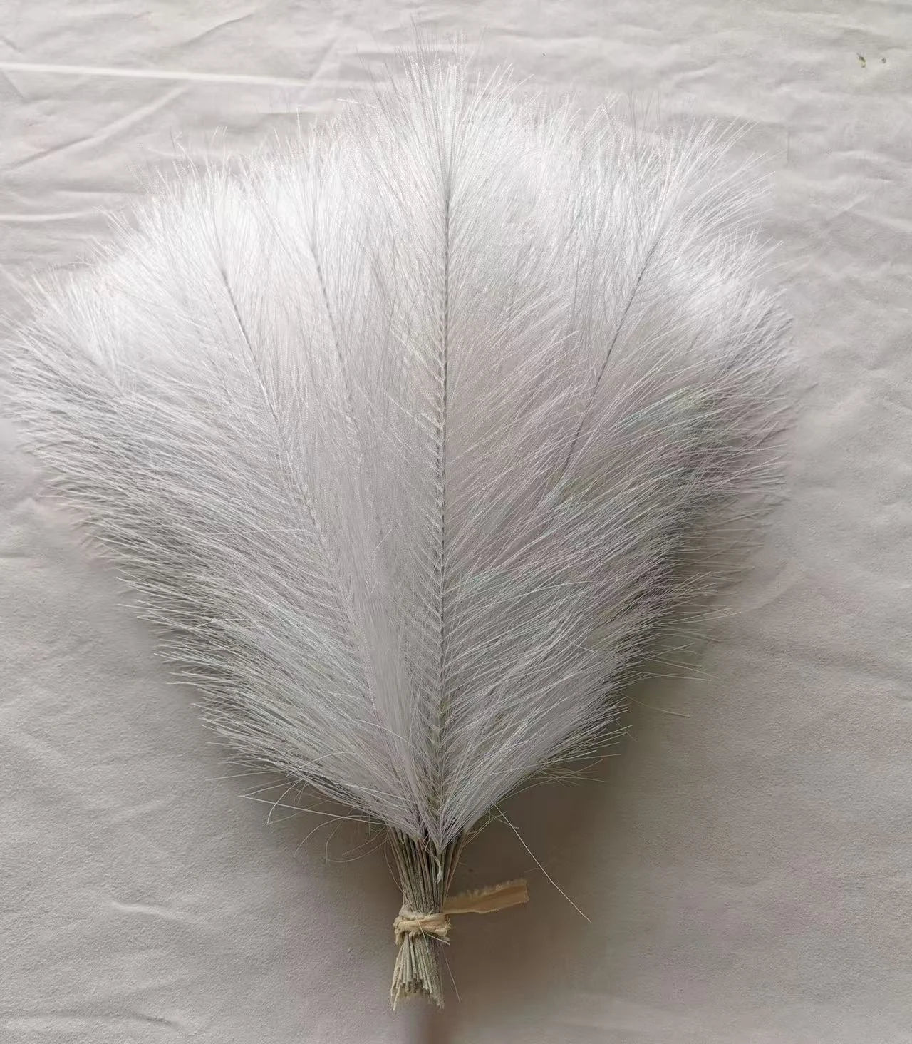 Pampas Decor Tak