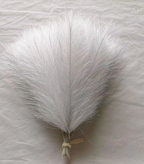 Pampas Decor Tak
