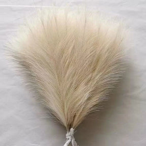 Pampas Decor Tak