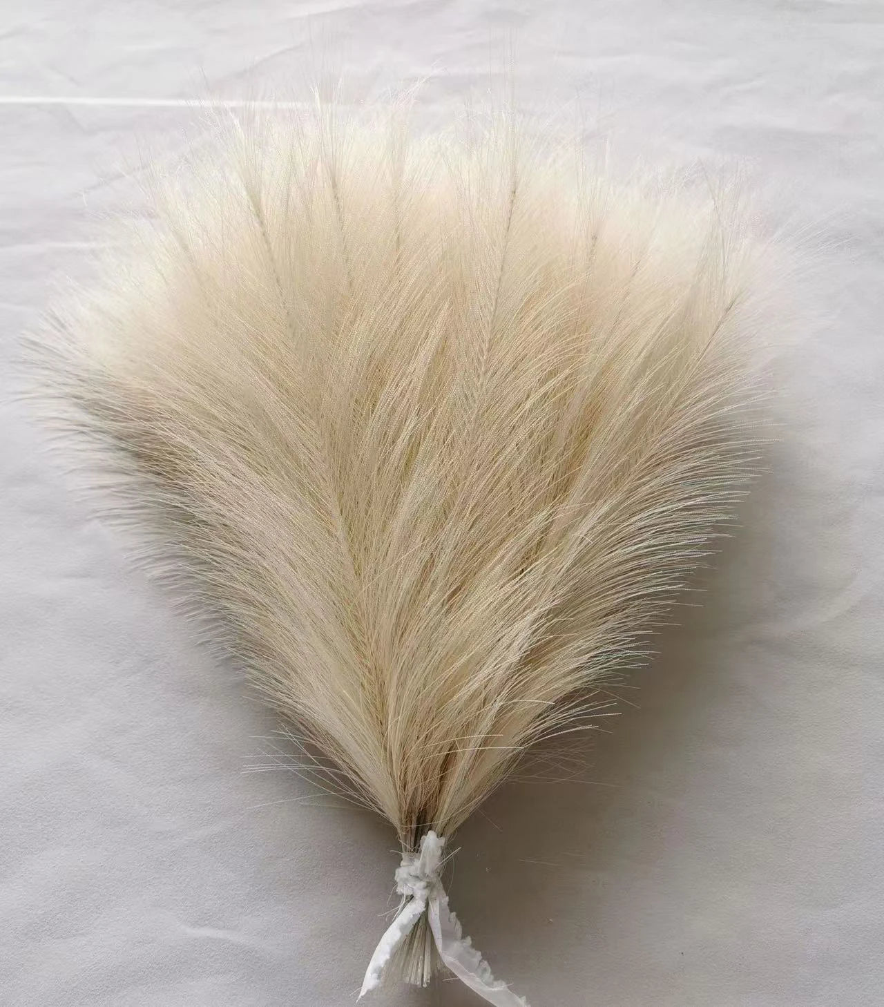 Pampas Decor Tak