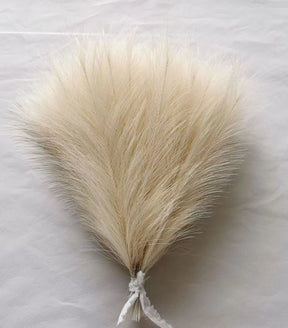 Pampas Decor Tak