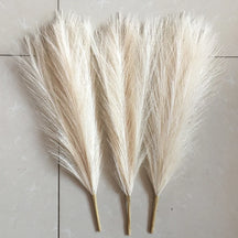 Faux Pampas Grass Stems